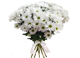 5 Хризантеми, бели