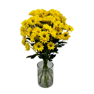 Ramo de Margaritas  amarillas 