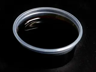 Sos Teriyaki (40g)