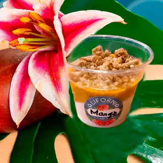 MANGO & YOGURT de SOJA