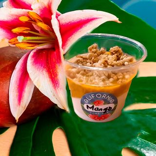 MANGO & YOGURT de SOJA