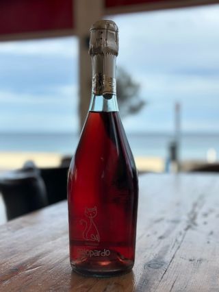Lambrusco Rosato de la casa