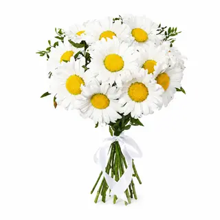 Букет "15 сонячних ромашок"