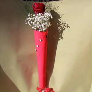 Cono dell' amore