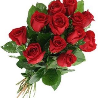 12 rose rosse gambo medio ben confezionate