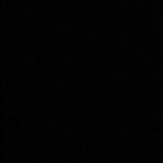 Viena Atún Completa con Alioli 