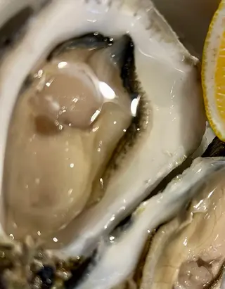 Ostras Gilardeau No.2 (Ud.)