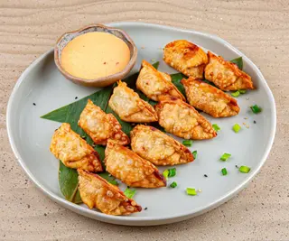 Chicken Dumplings
