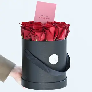 Will you be My Valentine? 