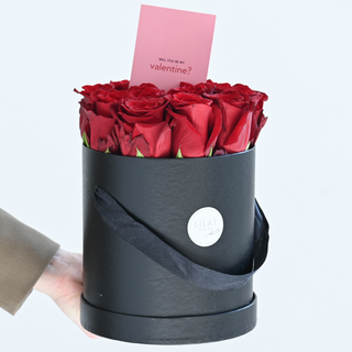 Will you be My Valentine? 