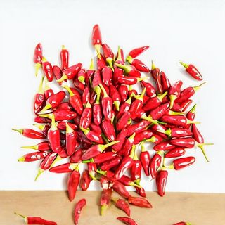 Jalapeno ljuta papričica 50 gr