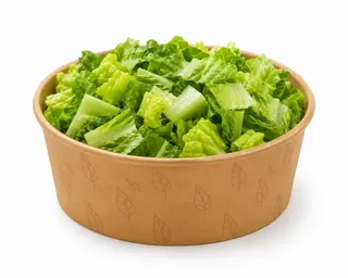 BOWL DE LECHUGA