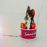 Tarrina Helado Artesano Tamaño Grande