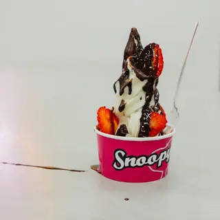 Tarrina Helado Artesano Tamaño Grande