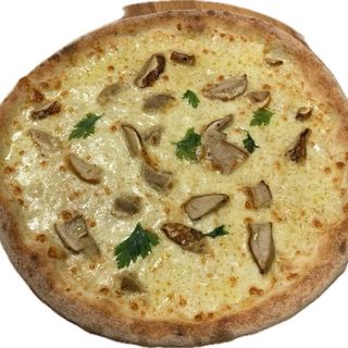 Funghi porcini