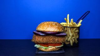 Crispy Chicken burger + pomfrit