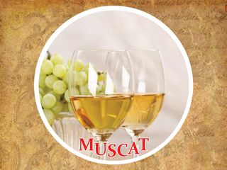 VIN Muscat