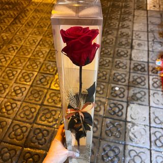 Rosa roja preservada