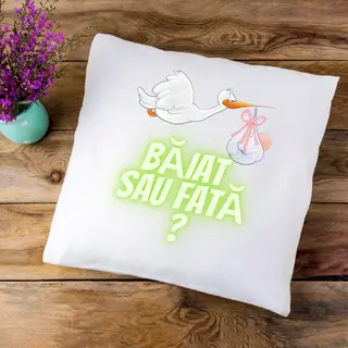 Perna "Sunt gravida"