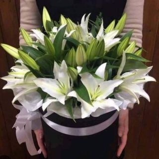 ლილიების კომპოზიცია