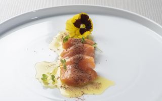 Choco Salmon (6 PZS.)