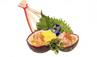 T16. Tartar passion amaebi