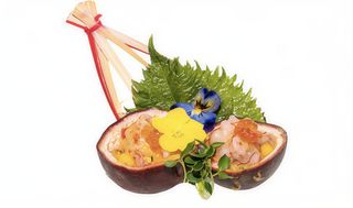 T16. Tartar passion amaebi