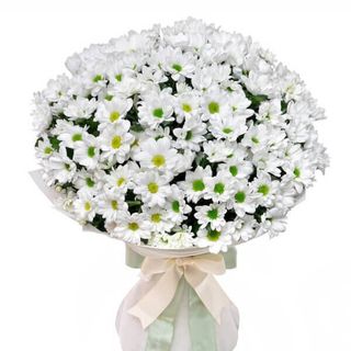 Букет "Ромашка"