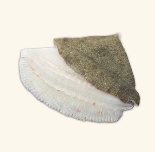 Rodaballo Gallego (1,3kg) A Filetes 