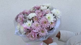 Bukiet Margerytek - 5 szt