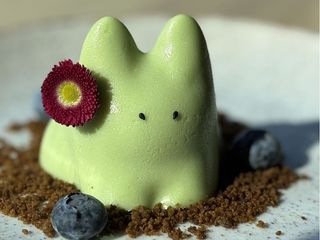 CAT PUDDING