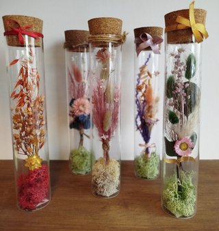 Cúpula alargada flor Preservada