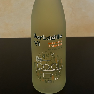 BOTELLA BARBADILLO VI