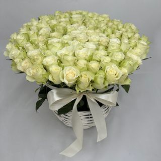 Cos 101 Trandafiri Albi