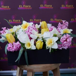 Cutie cu flori de primavara