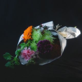 Ramo autor estándar 