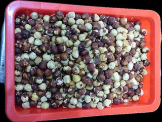 Nocciole tostate 100 g