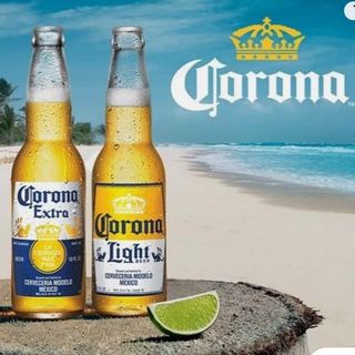 Corona Beer