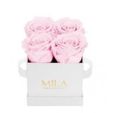 Mila Classique Mini