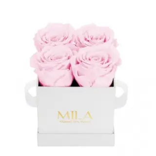Mila Classique Mini