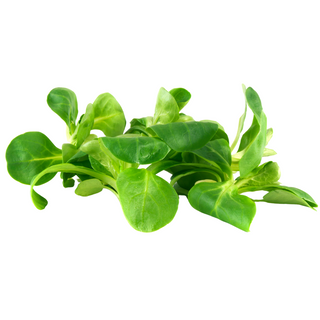 Canonigos bandeja 100gr