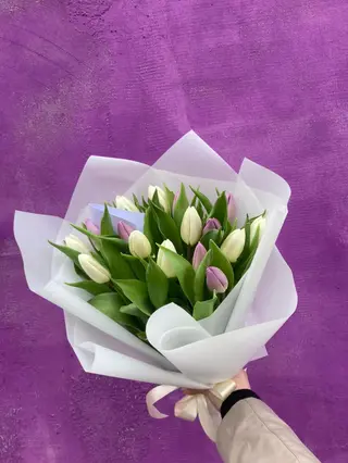 Тюльпан 35 шт