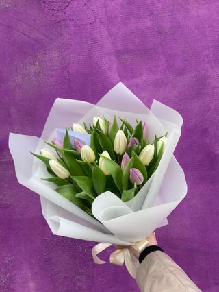 Тюльпан 35 шт