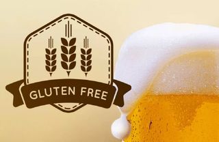 Birra gluten free artigianale - 50cl 