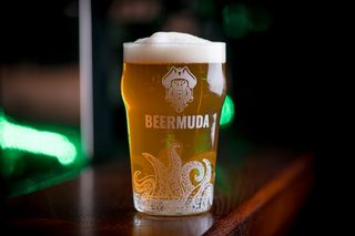 Пиво Special IPA 1 л