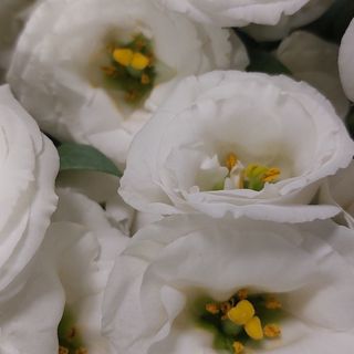 Bouquet lisianthus bianco N. 7