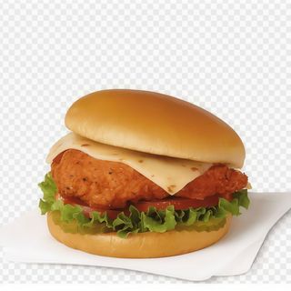 Hamburguer frango especial