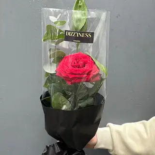 ვარდი