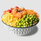 Crea il Tuo Poké Large