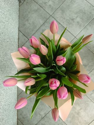 Bukiet z 9 tulipanów 